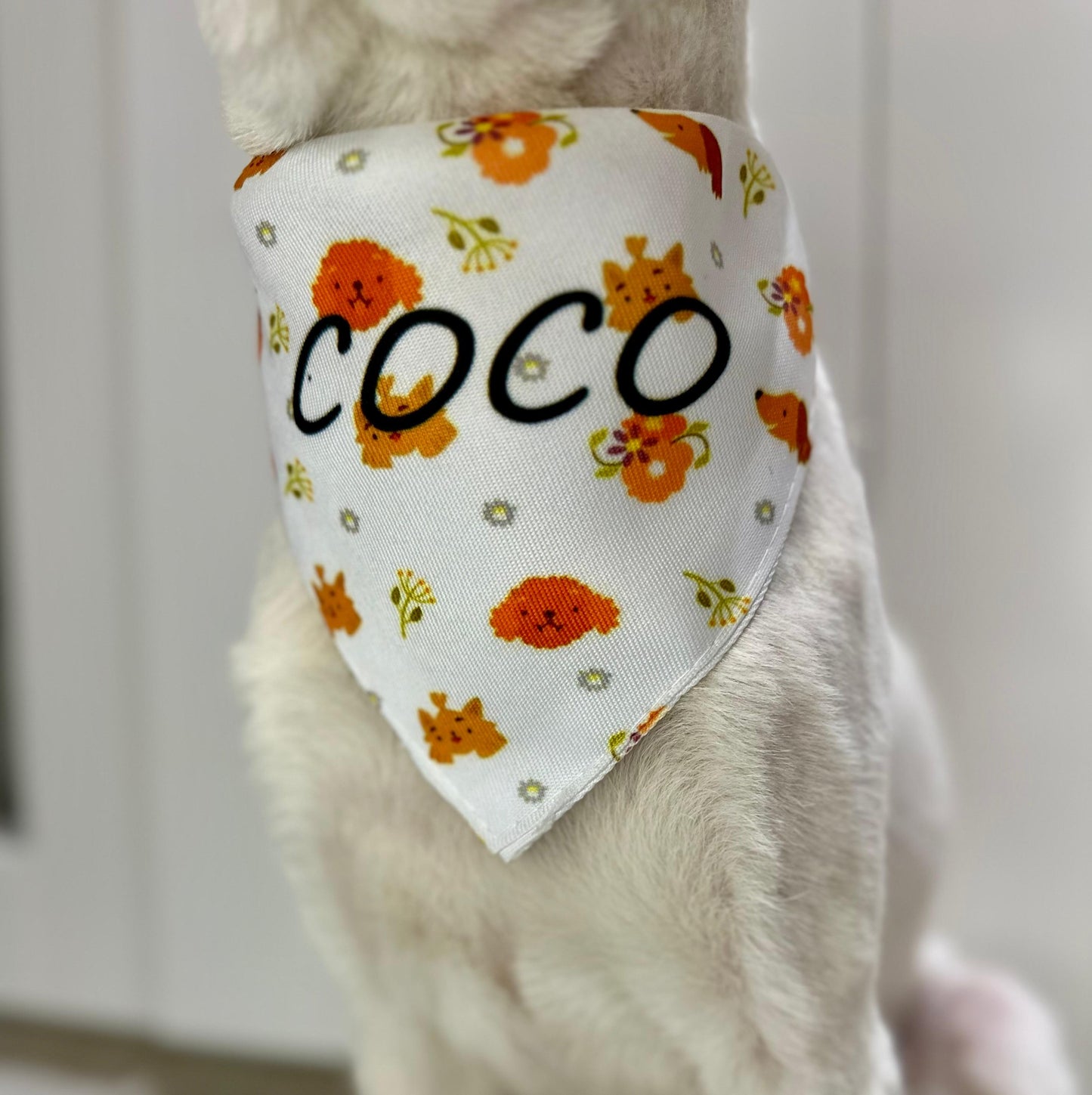BANDANA PERSONALIZABLE MASCOTA