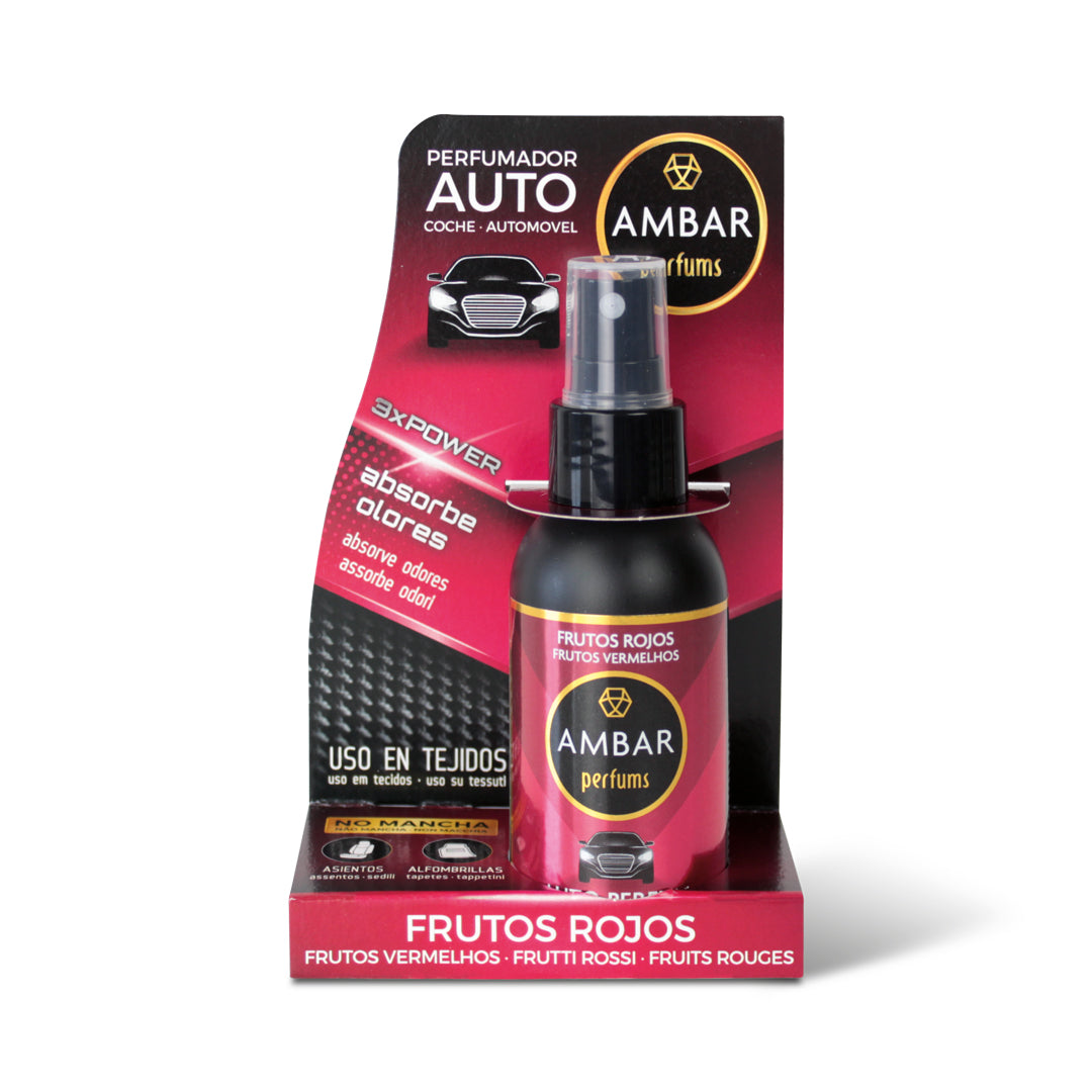 SPRAY COCHE