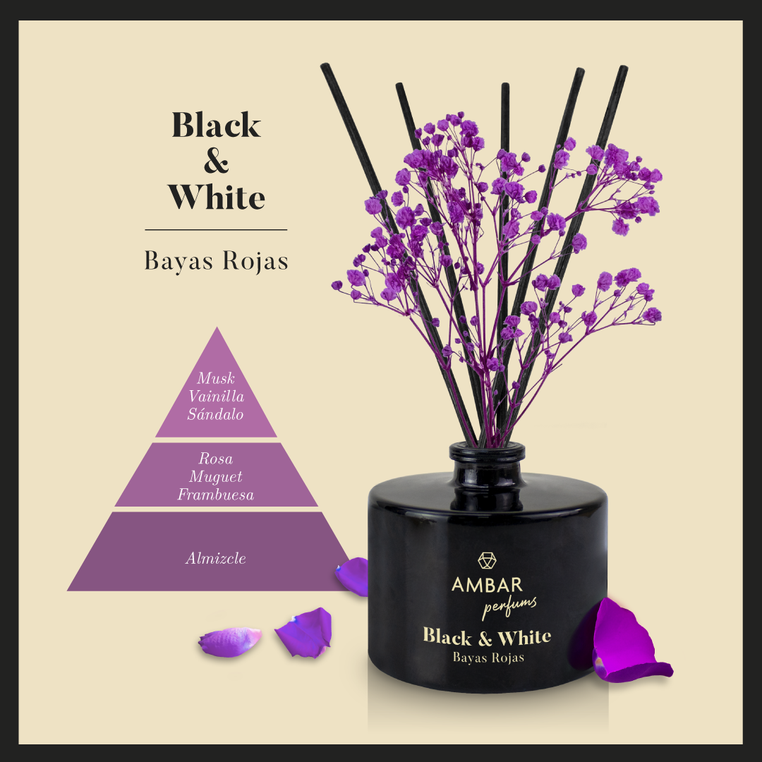 MIKADO BLACK & WHITE AMBAR