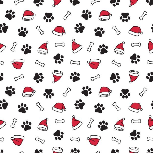 BANDANA PERSONALIZABLE MASCOTA