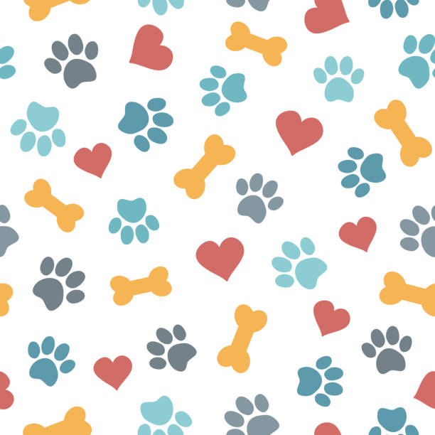 BANDANA PERSONALIZABLE MASCOTA