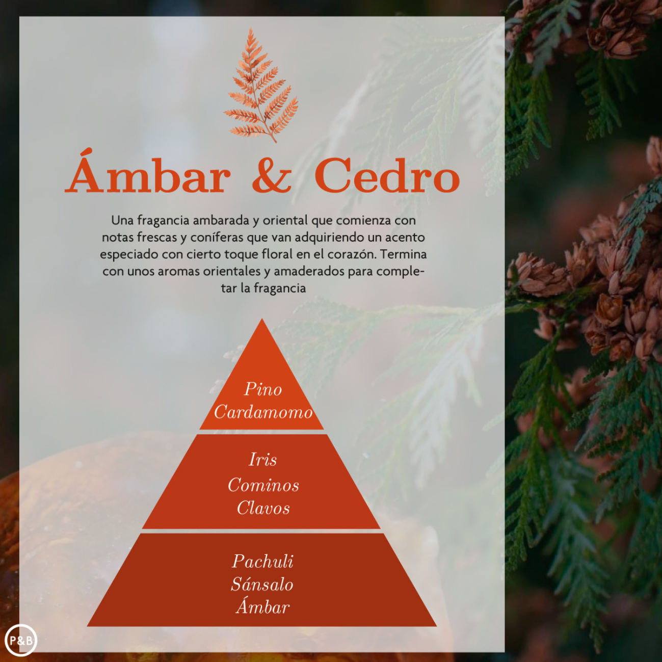 AMBAR ZEN
