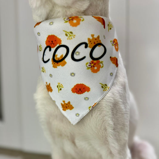 BANDANA PERSONALIZABLE MASCOTA